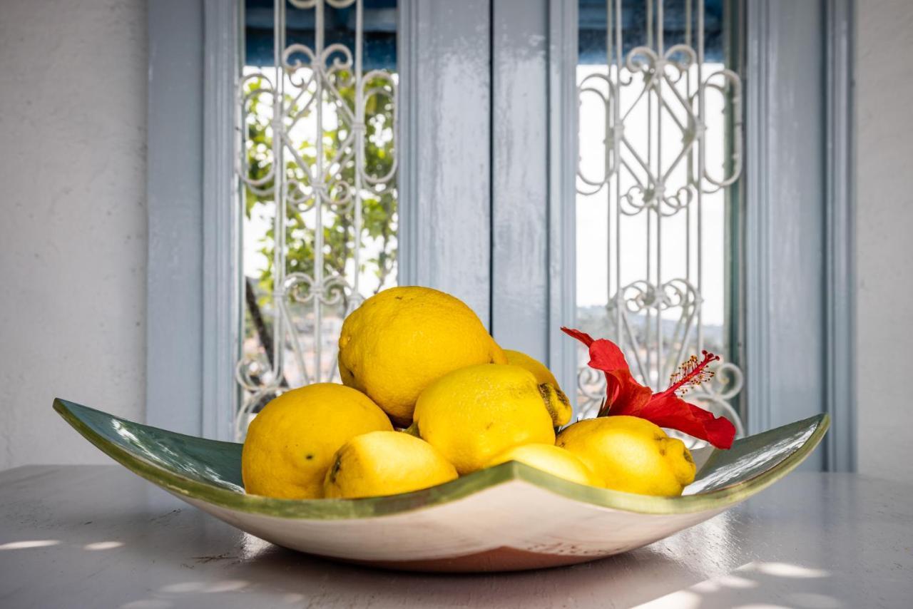 הוילה סקופלוס טאון The Lemon Tree House מראה חיצוני תמונה